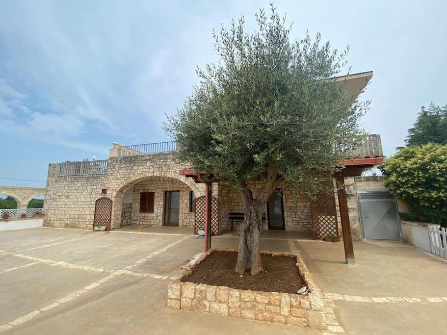 Villa Coco Monopoli Bagian luar foto